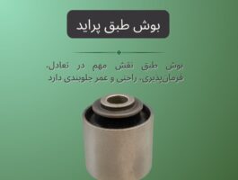 بوش طبق چیست و چرا اهمیت دارد؟